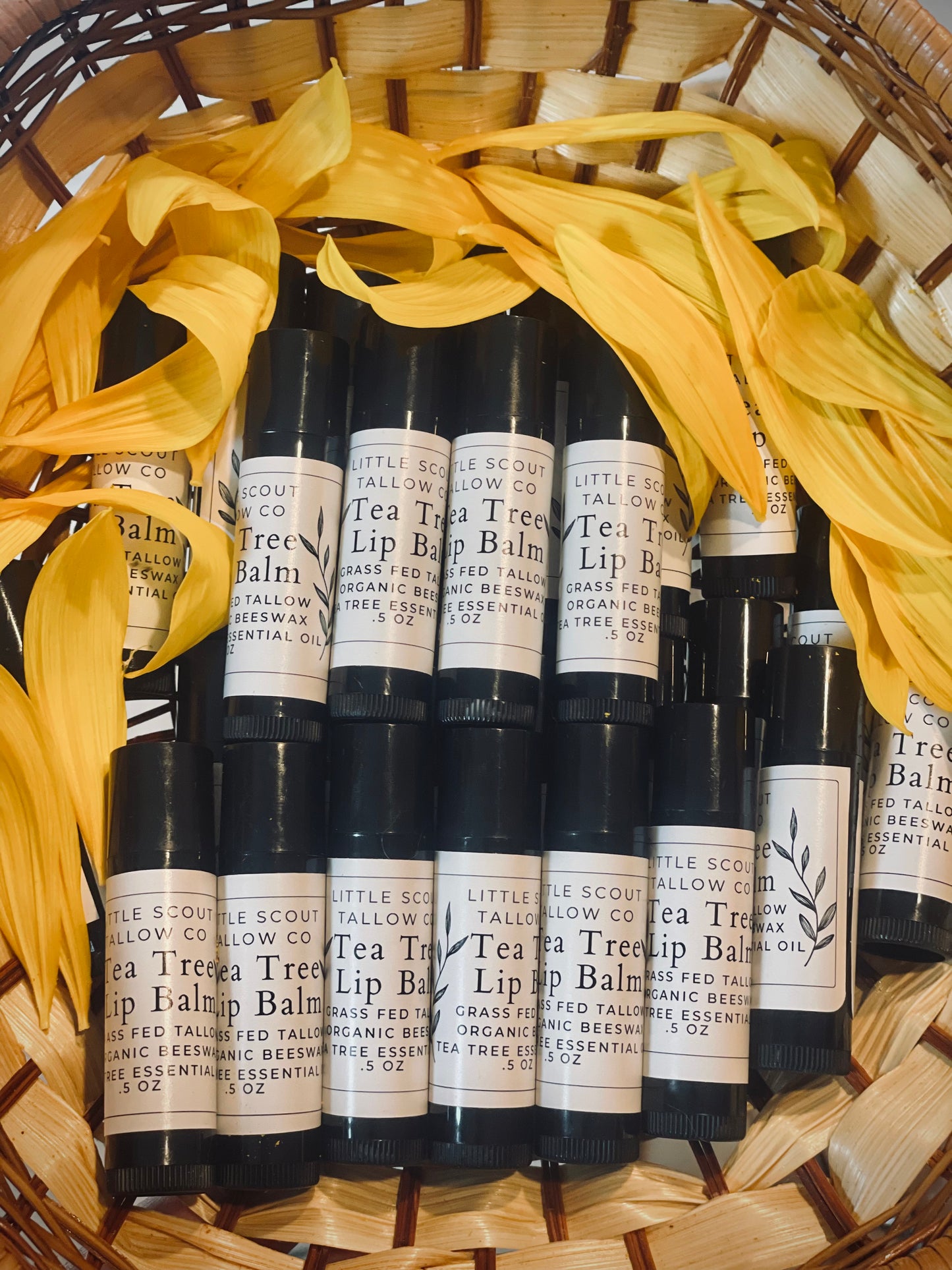 TEA TREE TALLOW CHAPSTICK TUBE
